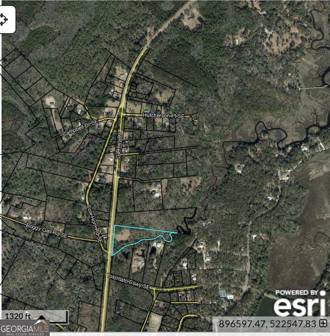 11817 Georgia 99, Darien, GA 31305 - photo 7