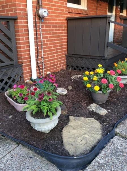 Enjoy the colorful variety of flowers in your own 
