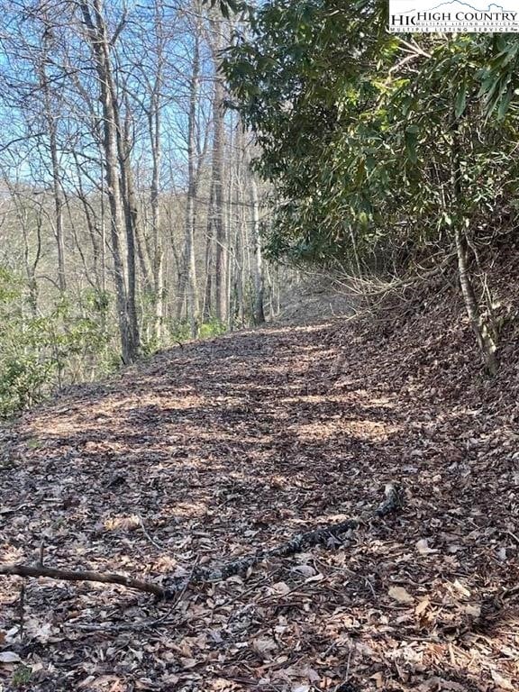 TBD Spruce Ln, Crumpler, NC 28617 - photo 5