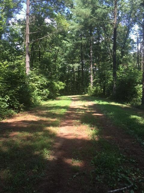Vore Ridge 3