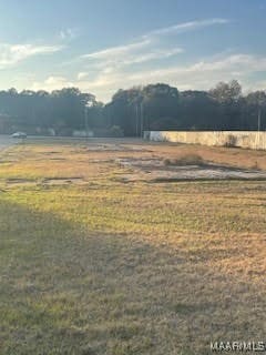0 Lower Wetumpka Rd unit 581828, Montgomery, AL 36110 - photo 3