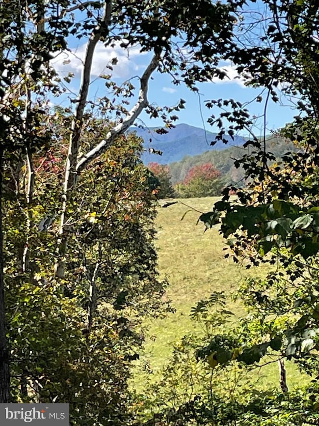 0 Tiger Valley Rd unit VARP2002288, Washington, VA 22747 - photo 6