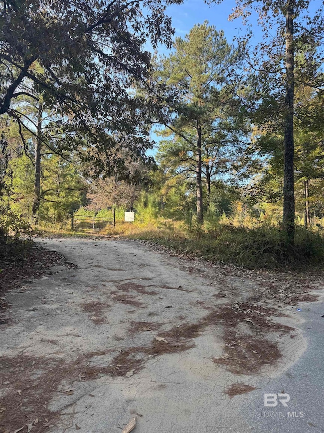 16600 Stacey Rd, Bay Minette, AL 36507 - photo 4