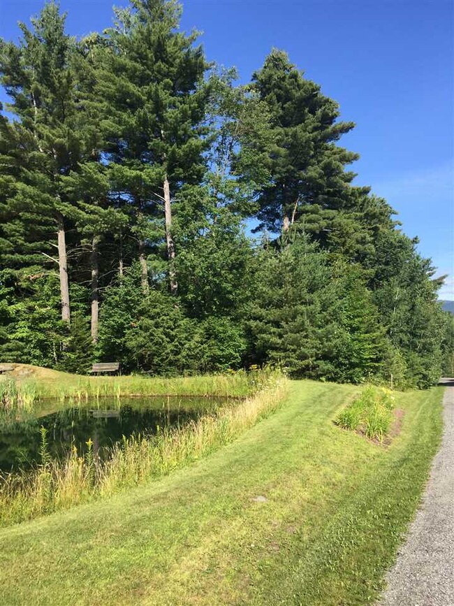 16 Kirkwood Ln, Stowe, VT 05672 - photo 7