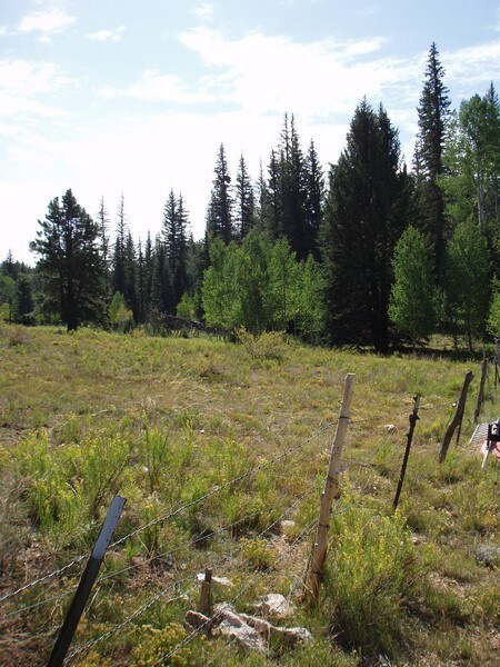 Fence to National Forest