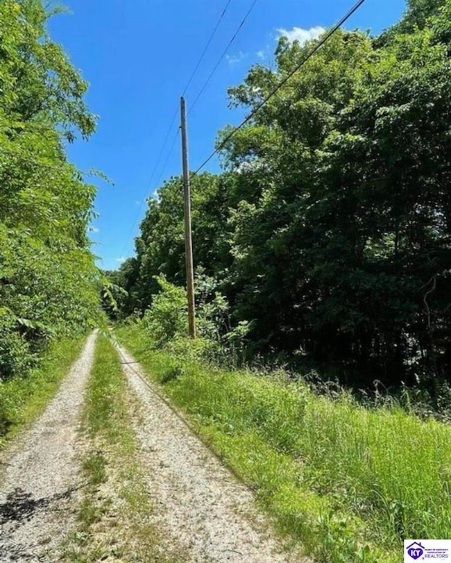 992 J M Mercer Campsite Rd unit Lots 12 & 13, Hudson, KY 40145 - photo 5