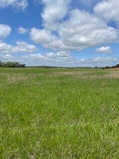 4 Check's Corner Rd, Sulphur Springs, AR 72768 - photo 7