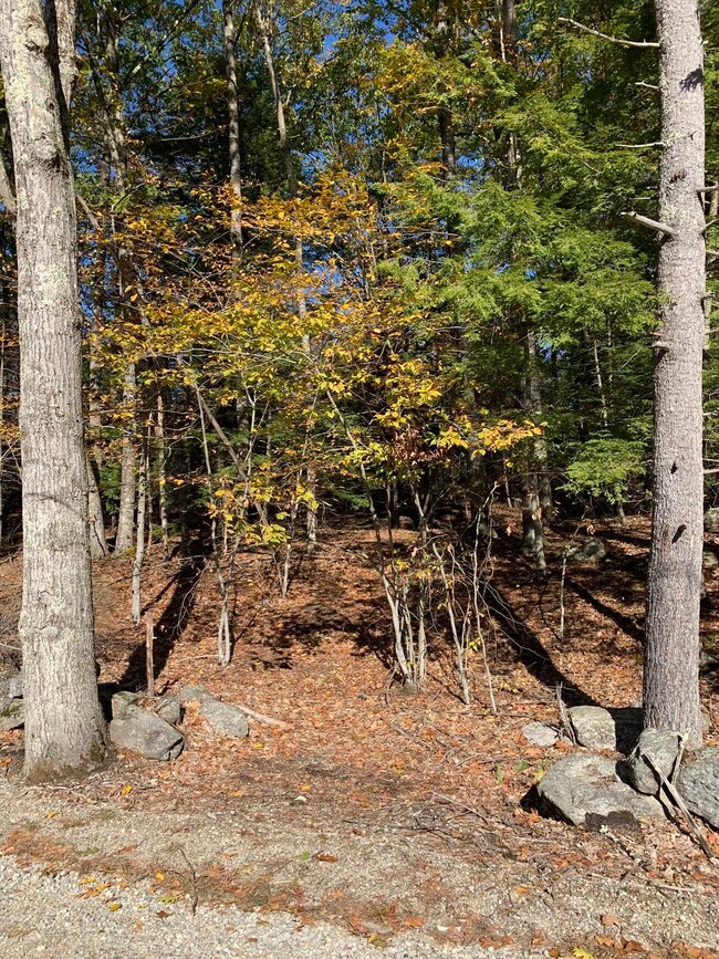 Lot 3 Journeys End Rd, Francestown, NH 03043 - photo 5