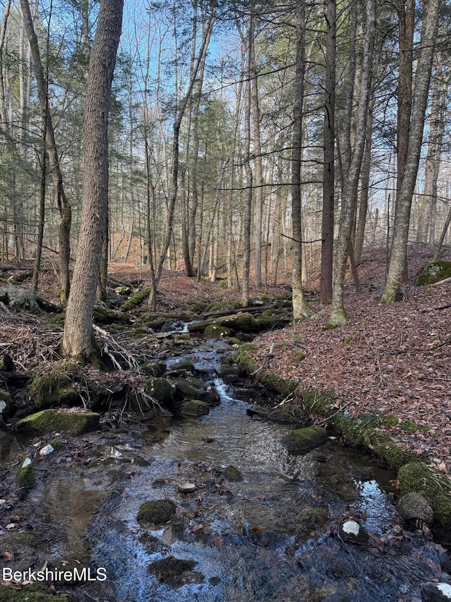 Lot 8 Benton Hill Rd, Becket, MA 01223 - photo 4