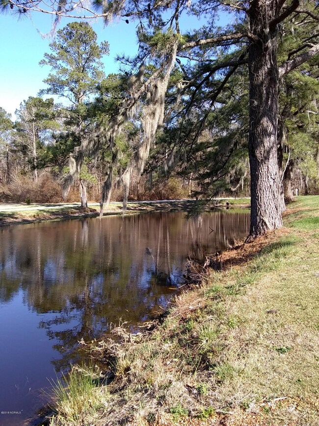 Upper pond to road