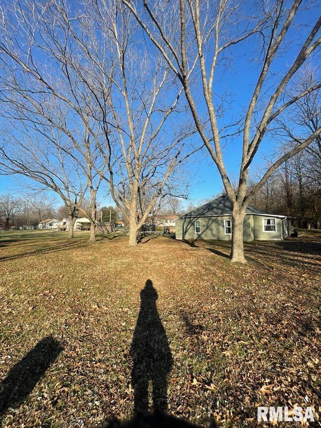 6219 E Main St, Mulkeytown, IL 62865 - photo 6