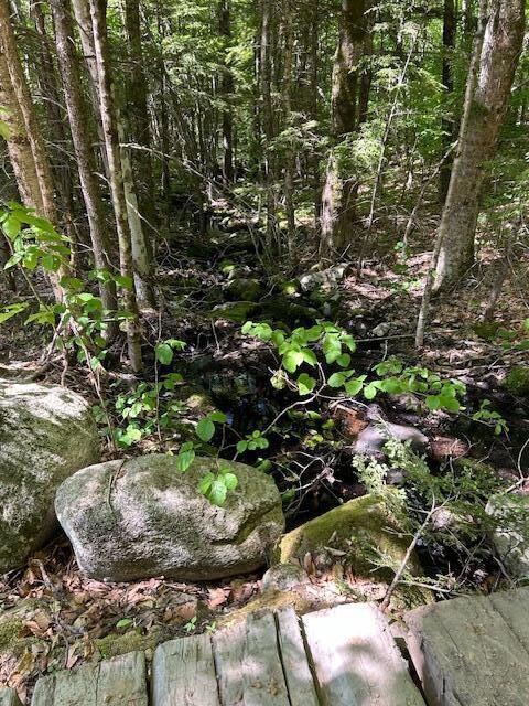 64 Brookhollow Rd, Naples, ME 04055 - photo 6