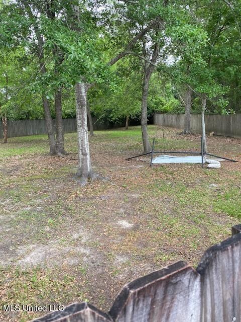 Back yard