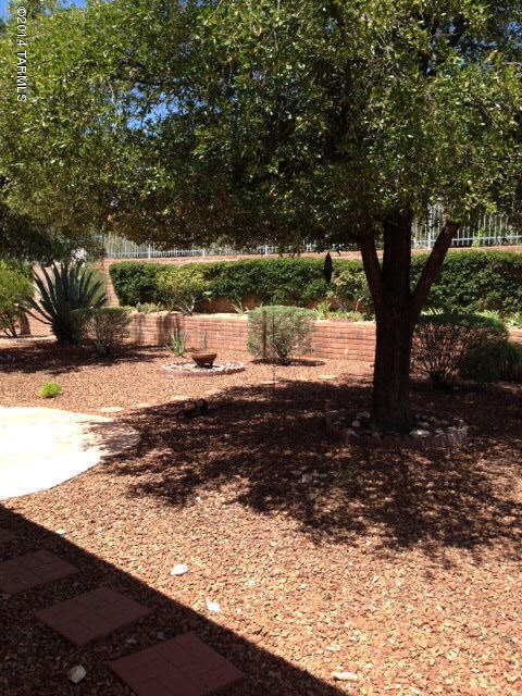 photo_4 (8)