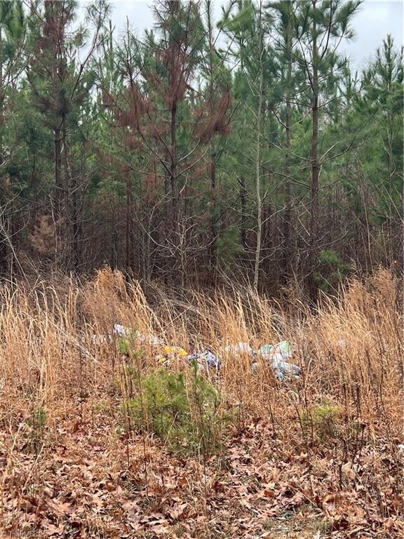 000 Borough Ave, Seagrove, NC 27341 - photo 5