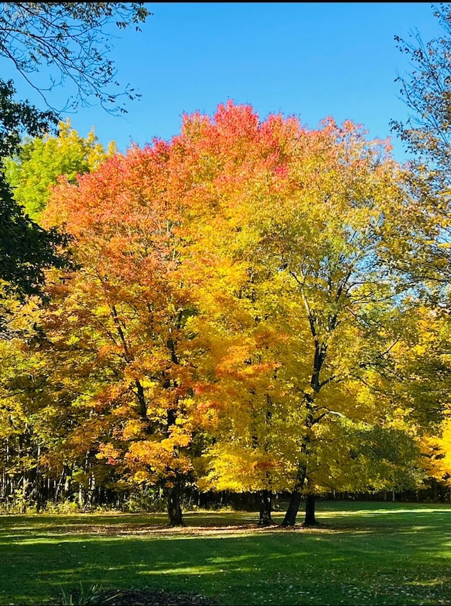 Changing Colors