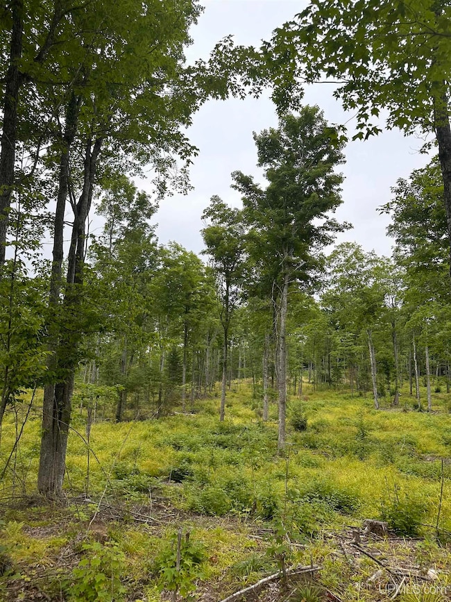 TBD Co Rd 496 (B) Rd unit Parcel B, Champion, MI 49814 - photo 2