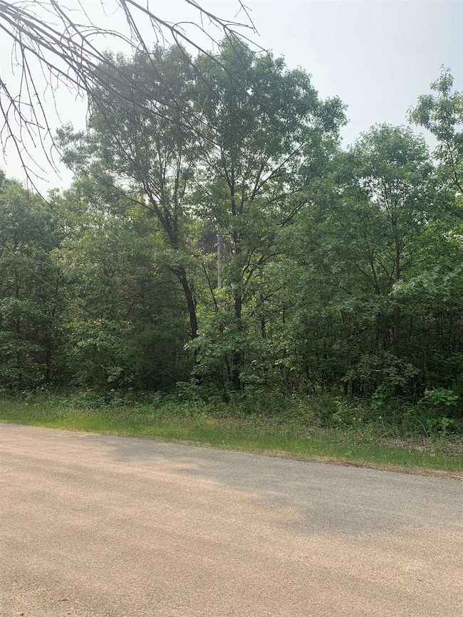 1.22 AC Flowage Rd, Spring Green, WI 53588 - photo 2