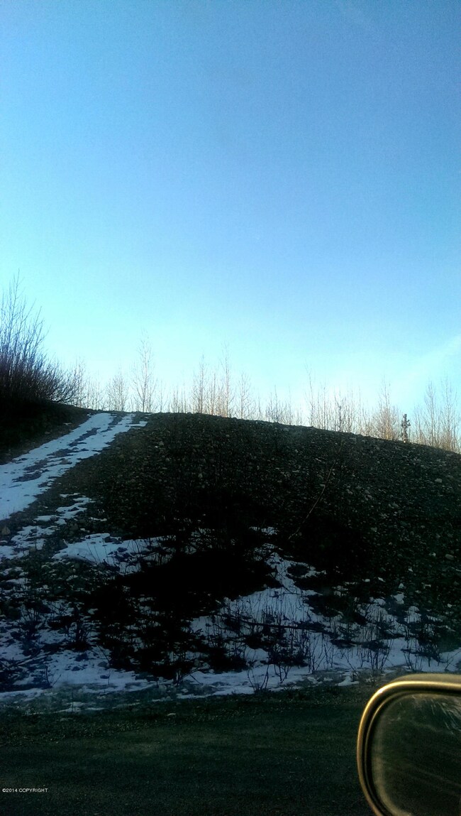 IMAG0599_1