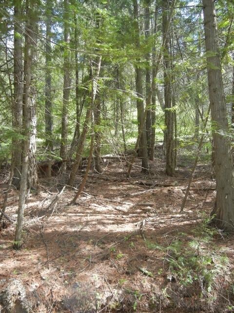 1895 Blue Creek Rd W, Chewelah, WA 99109 - photo 2