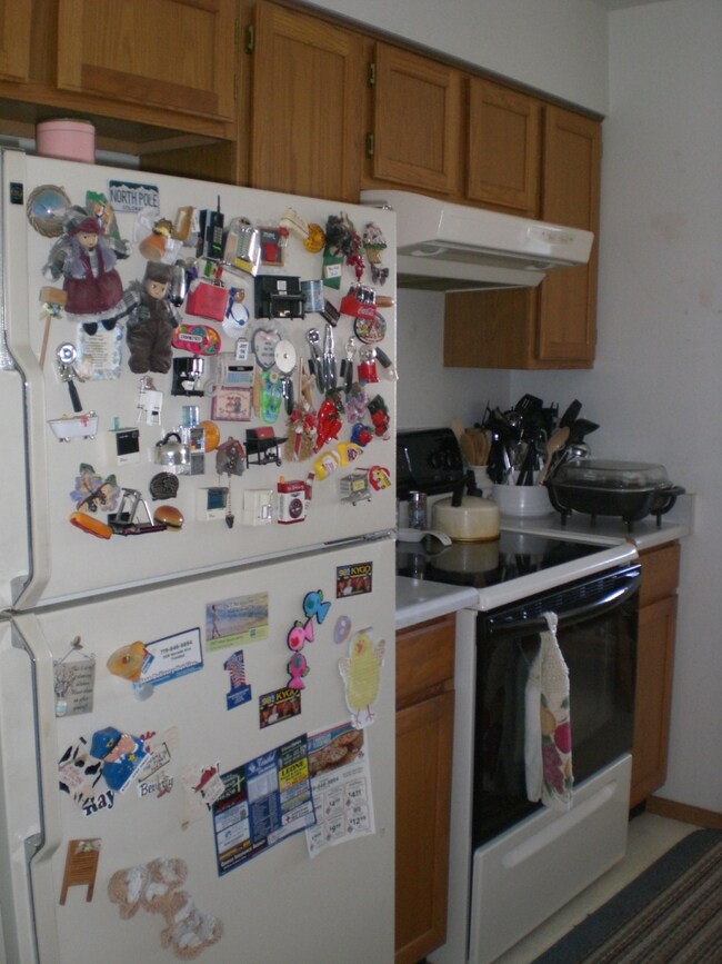 Electric Stove and Refrigerator will Sta