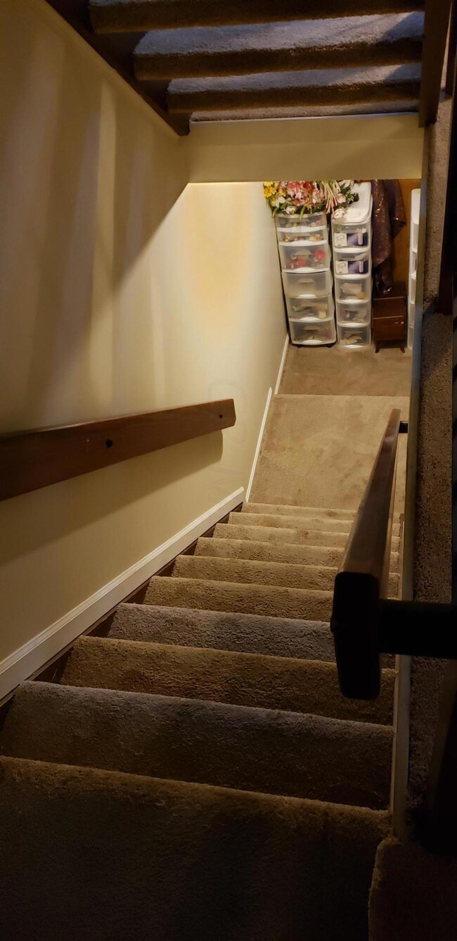 Down-Basement