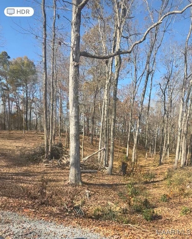 2884 Highway 47, Columbiana, AL 35051 - photo 7