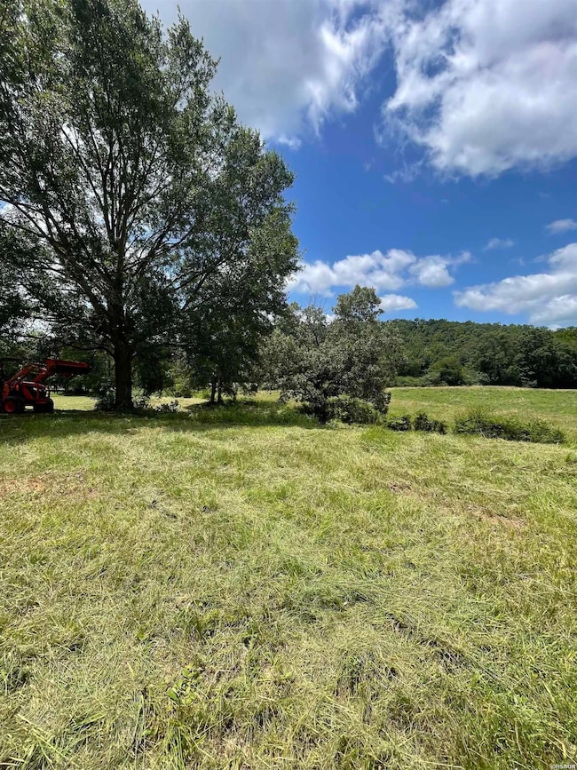 Lots 3 & 4 River View Dr, Glenwood, AR 71943 - photo 7