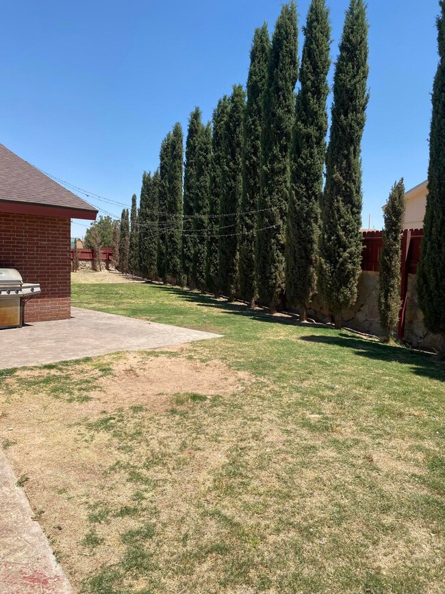 516 Serena Ct, Horizon City, TX 79928 - photo 3