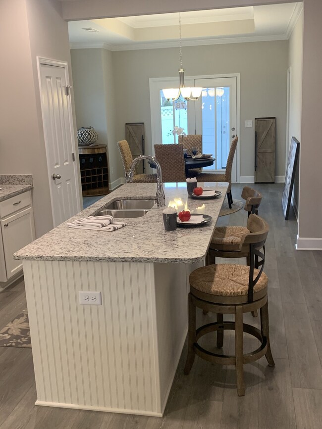 221 Mary Ann Cir, Spring Hill, TN 37174 - photo 4