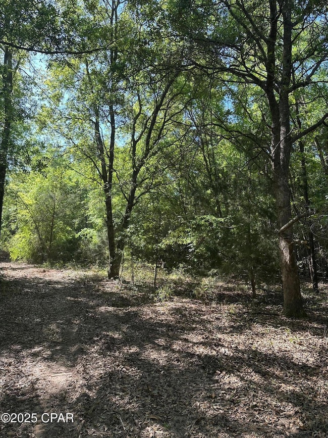 00 Marcus Dr, Greenwood, FL 32443 - photo 3