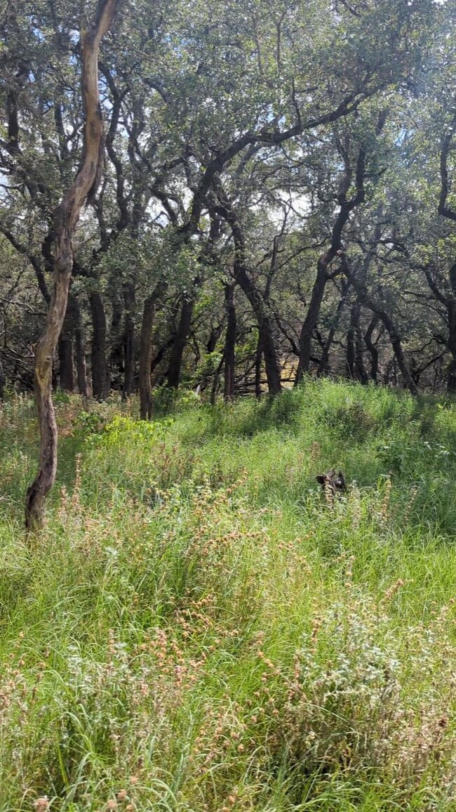 757 Rabbit Rd, Wimberley, TX 78676 - photo 7