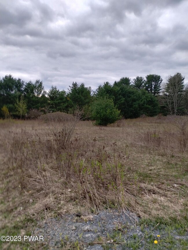 Lot 4 Ledgedale Rd, Lake Ariel, PA 18436 - photo 6