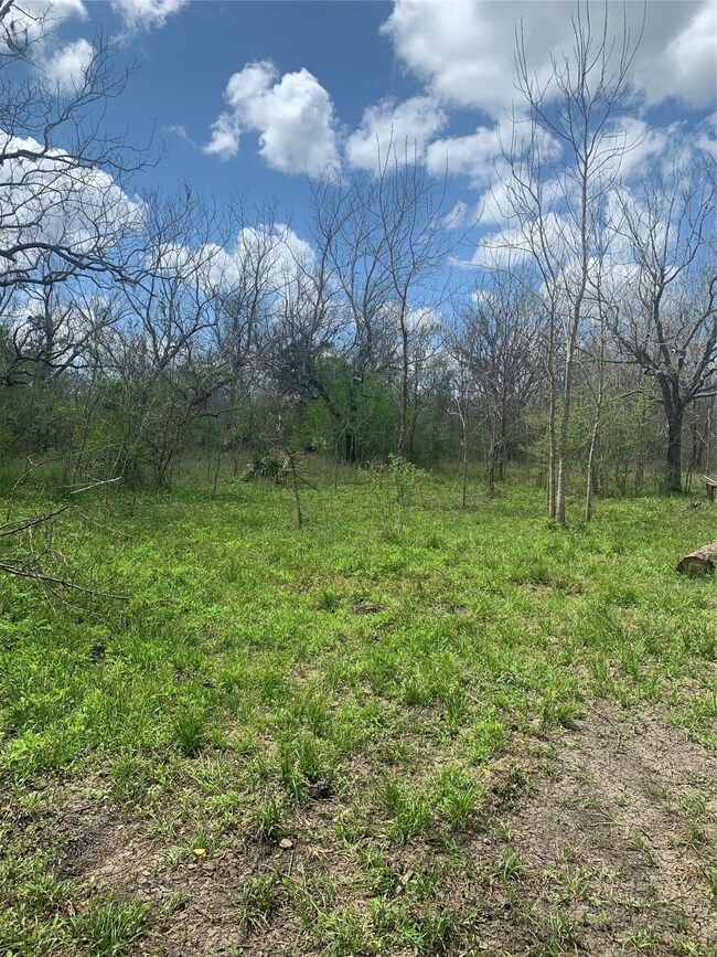 1671 County Road 310, Brazoria, TX 77422 - photo 6