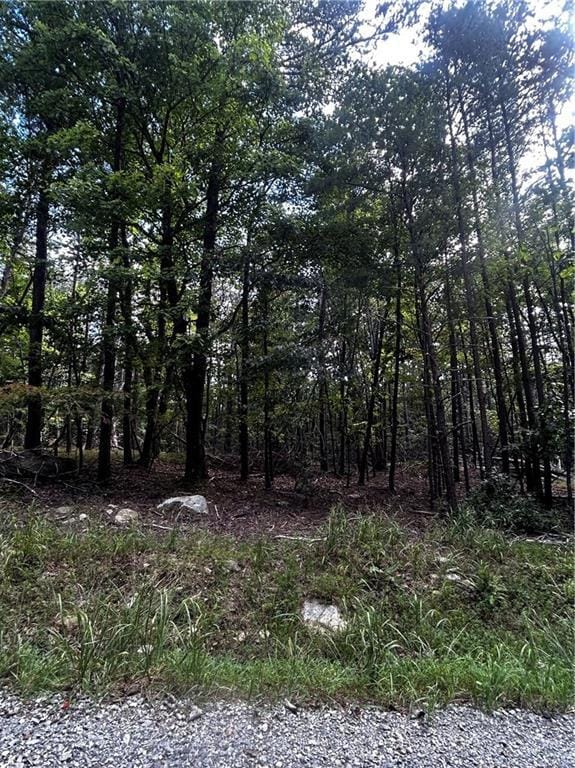 00 Elk Ct, Jasper, GA 30143 - photo 4