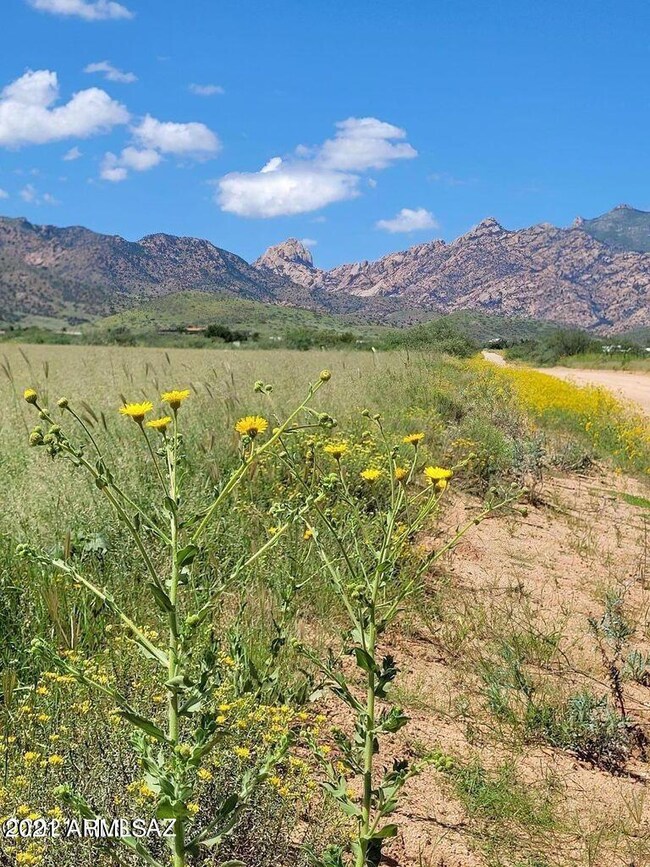3.6 ACRE on Treasure Rd (4)