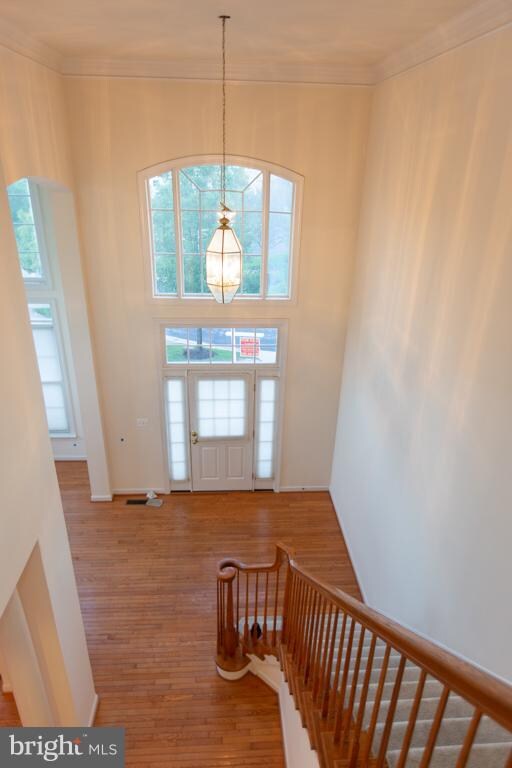 8633 Saddleback Place, Laurel, MD 20723 - photo 7