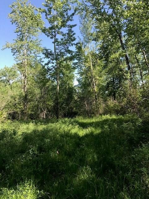 Lush wooded & treed enclave