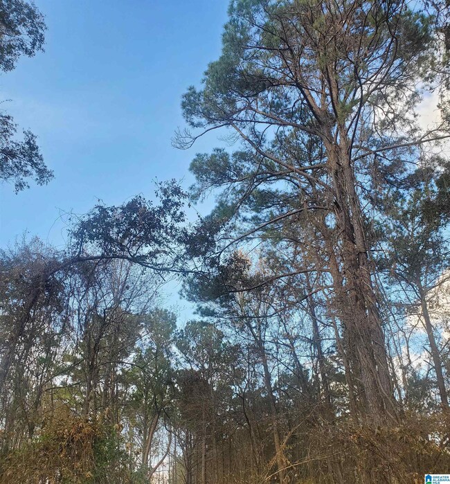 0 Longshore St, Roanoke, AL 36274 - photo 2