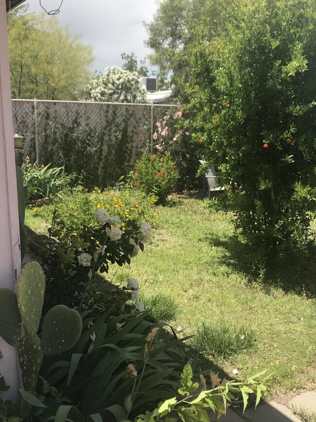 3417 E. Seneca St. - Back Yard