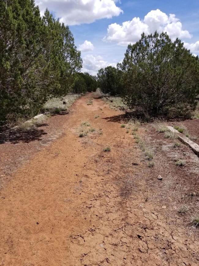 Driveway into Property