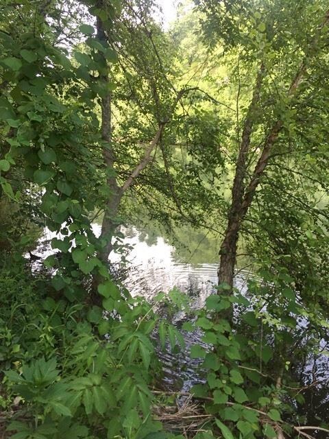 0 Dailey Loop unit RTC1839487, Linden, TN 37096 - photo 7