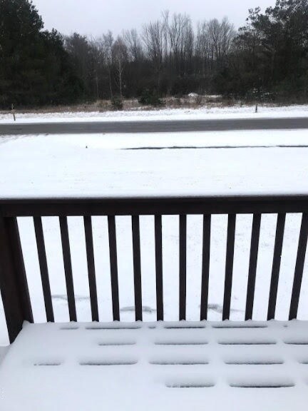 608 Jeffrey St, Reed City, MI 49677 - photo 5