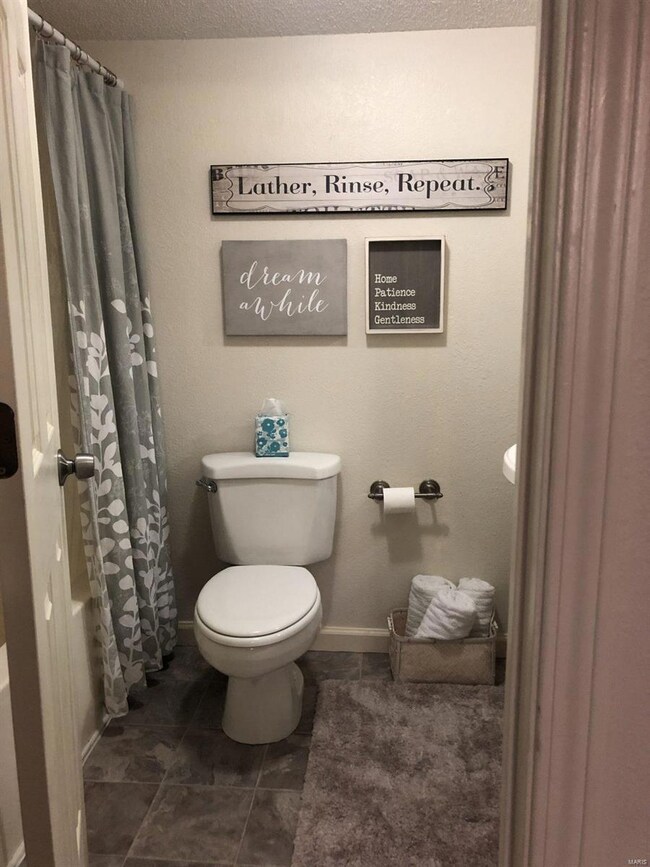 219 S Donk Ave, Maryville, IL 62062 - photo 2