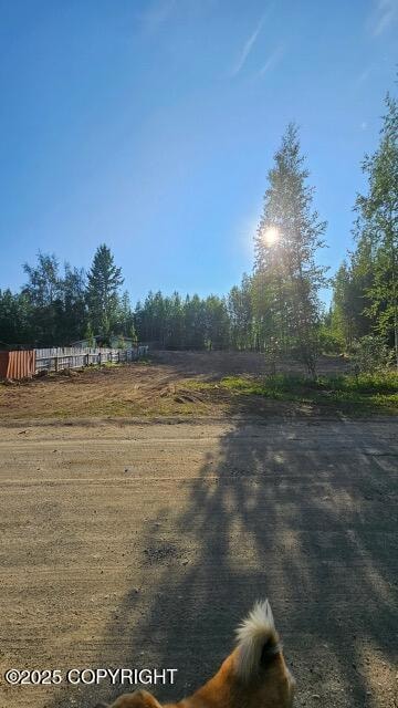 806 S Freeman Way, Big Lake, AK 99654 - photo 2