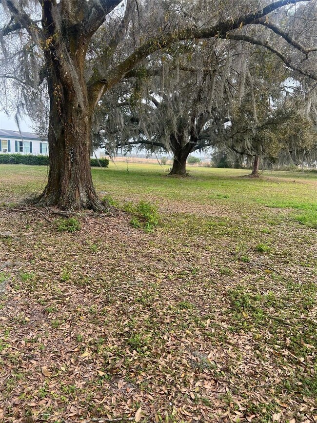 3060 Lanier Rd, Zephyrhills, FL 33541 - photo 5