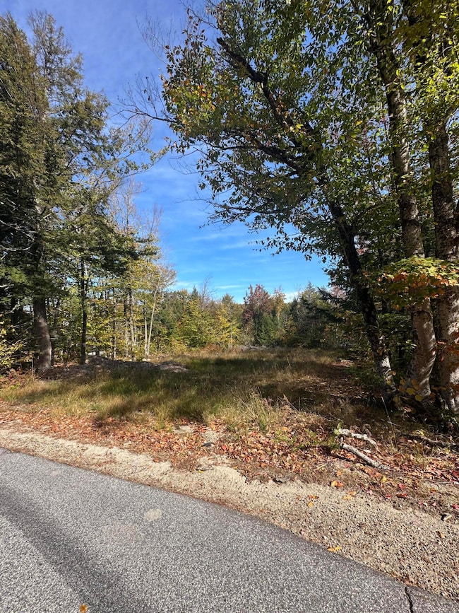 2 Hancock Pond Rd, Sebago, ME 04029 - photo 3