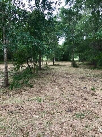 6311 Tercero, Brazoria, TX 77422 - photo 4