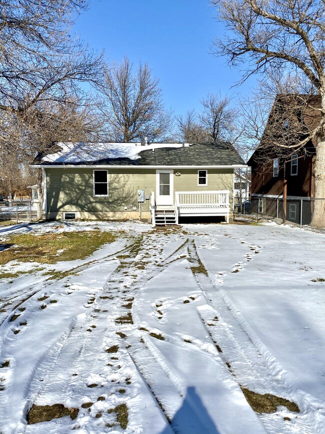Back Yard