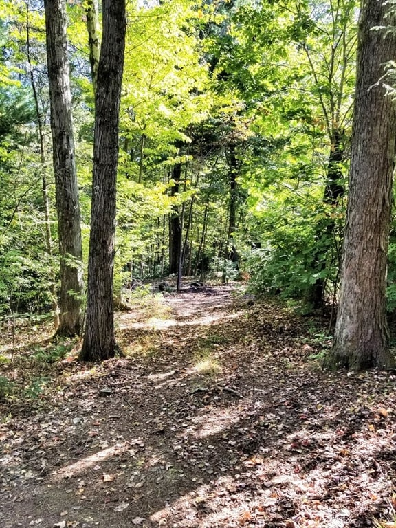 0 Red Gate Ln unit 73348273, Amherst, MA 01002 - photo 5